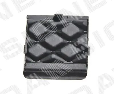 PFD99191CA ЗАГЛУШКА ГАКА SIGNEDA підбір по vin на Brocar