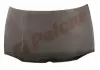 954103 Капот POLCAR підбір по vin на Brocar