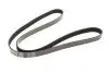Ремінь генератора Citroen Berlingo 1.6 00-08/ Nemo 1.4i 08- (6PK1560) 050 006 1560