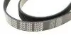 0500061560 Ремінь генератора Citroen Berlingo 1.6 00-08/ Nemo 1.4i 08- (6PK1560) MEYLE підбір по vin на Brocar