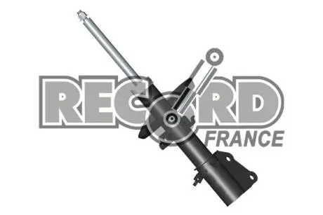 334651 Амортизатор передній, газовий (52 мм)) RECORD підбір по vin на Brocar