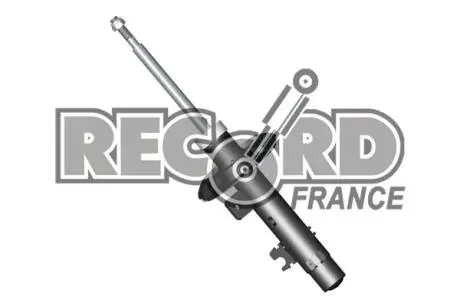 334801 Амортизатор газовий RECORD підбір по vin на Brocar