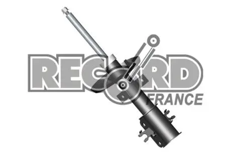 334649 Амортизатор газовий RECORD підбір по vin на Brocar