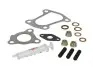 Комплект прокладок турбіни Opel Astra G/H 1.7 CDTI 03-10 897930