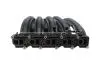 53000SET Колектор впускний MB E-class (W211)/C-class (W203) 00-08 (OM647) AIC підбір по vin на Brocar