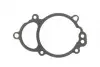 Прокладка кришки ГРМ Audi A4/A6/Q3/Q5/Skoda Octavia/Superb 07- 773720
