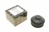 Кришка фільтра масляного VW T5/Caddy 1.9TDI 03- 55600