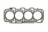 Прокладка ГБЦ Opel Combo/Fiat Doblo 1.6D 08- (1.02mm) 789200