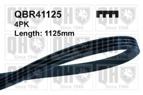 QBR41125 Ремінь ручейковий 4х1125 QUINTON HAZELL підбір по vin на Brocar