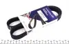 Ремінь генератора Citroen Berlingo/VW Golf III 1.4-2.0i 91- (6PK975) 975 K 6