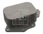 Масляний радіатор Berlingo 1.6 HDi 05- 100544