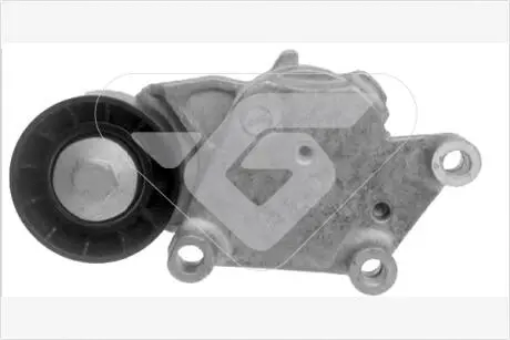 T0221 Натяжитель ремня генератора Citroen/Peugeot/Ford 1.4HDi/1.6TDCi 01- HUTCHINSON подбор по vin на Brocar