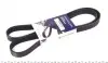 Ремінь генератора Peugeot/Citroen 1.4i (6PK1454) 1454K6