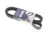 Ремень генератора Renault Megane II 2.0 dCi 05-09 (7PK1705) 1705K7