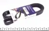 Ремінь генератора Citroen Berlingo/Peugeot Bipper/Partner 1.4/1.6 (6PK1564) 1564K6
