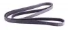2385K6 Ремінь генератора MB C-class (W202/203)/E-class (W124/W210/211) M112/M113 (6PK2385) HUTCHINSON підбір по vin на Brocar