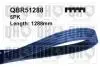 Ремень поликлиновидный 5X1288 QBR51288