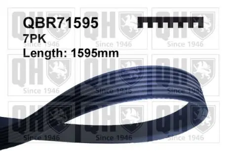 QBR71595 Пасок клиновий QUINTON HAZELL підбір по vin на Brocar