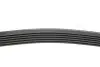2412K6 Ремінь генератора MB E-class (W124/S124) M104 93-96 (6PK2412) HUTCHINSON підбір по vin на Brocar