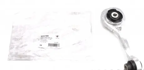 524789 Подушка двигателя (задняя) Renault Kangoo 1.5dCi (косточка) HUTCHINSON подбор по vin на Brocar