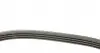 917SK4 Ремень генератора BMW 3 (E46)/X3 (E83) 01-07 M47 D20/Fiat Stilo 1.6 16V 01-08 HUTCHINSON підбір по vin на Brocar