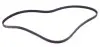 1237K4 Ремінь генератора Renault Clio/Kangoo 1.4i/1.6 98-03 (4PK1237) HUTCHINSON підбір по vin на Brocar