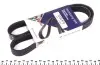Ремень генератора Fiat Bravo 1.9TD/JTD 96-01/1.6 D Multijet 07- (6PK1036) 1036 K 6