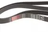 6PK1955 Пасок поліклиновий 6PK1950 GATES підбір по vin на Brocar