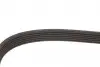 6PK1955 Пасок поліклиновий 6PK1950 GATES підбір по vin на Brocar