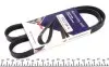 Ремінь генератора Fiat Doblo 1.3JTD 04- 1022 SK 4