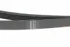 1236SK5 Ремінь генератора Hyundai i10/i20 1.2 13- HUTCHINSON підбір по vin на Brocar