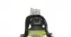 586644 Подушка двигателя (R) Renault Clio III 1.5dCi 10- HUTCHINSON підбір по vin на Brocar