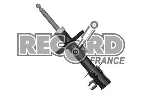 104592 Амортизатор RECORD підбір по vin на Brocar