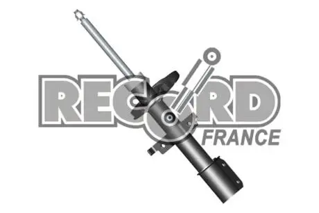 104809 Амортизатор RECORD подбор по vin на Brocar