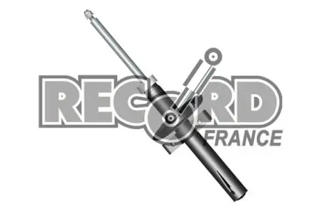334511 Амортизатор RECORD подбор по vin на Brocar