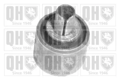 EMS8105 Сайлентблок QUINTON HAZELL підбір по vin на Brocar