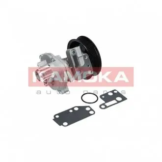 T0142 Помпа воды KAMOKA подбор по vin на Brocar