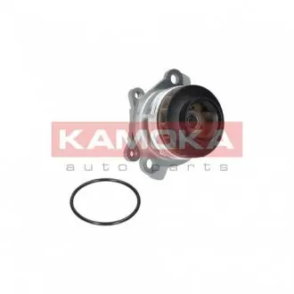 T0222 Помпа воды KAMOKA подбор по vin на Brocar