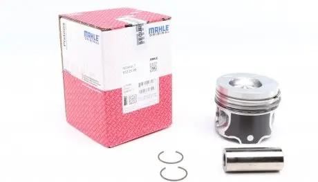0222100 Поршень Renault Kangoo/Megane II 1.5dCi 01- (76.00mm/STD) (Палець 25mm) MAHLE / KNECHT підбір по vin на Brocar