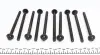 143213201 Болты головки (к-кт 10шт.) Opel Corsa B/C/D 1.0i 12V, 00-14 (A10XEP/X10XE/Z10XE) VICTOR REINZ підбір по vin на Brocar