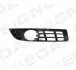 Решетка в бампер VW PASSAT (B6), 06 - 10 PVW99026CARI