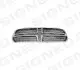 РЕШЕТКА РАДИАТОРА DODGE DURANGO, 14 - PDG07094GA