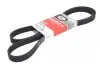 Ремінь генератора Ford Connect 1.8 TDCI 6PK1718