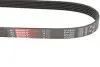 6PK860 Ремень поликлиновый Gates GATES підбір по vin на Brocar
