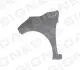 Крыло RENAULT CLIO, 12 - 19 PRN10023AL