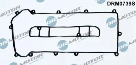 DRM0739S Комплект прокладок клапанної кришки 2 елементи DR.MOTOR підбір по vin на Brocar