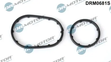 DRM0681S Комплект прокладок гумових DR.MOTOR підбір по vin на Brocar