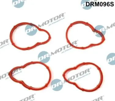 DRM096S Комплект прокладок гумових DR.MOTOR підбір по vin на Brocar