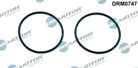 DRM0747 К-т прокладок помпи вакуумної, 2шт. DR.MOTOR підбір по vin на Brocar