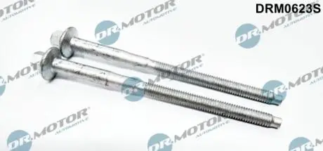 DRM0623S Комплект болтів двигуна з фігурною головкою DR.MOTOR підбір по vin на Brocar
